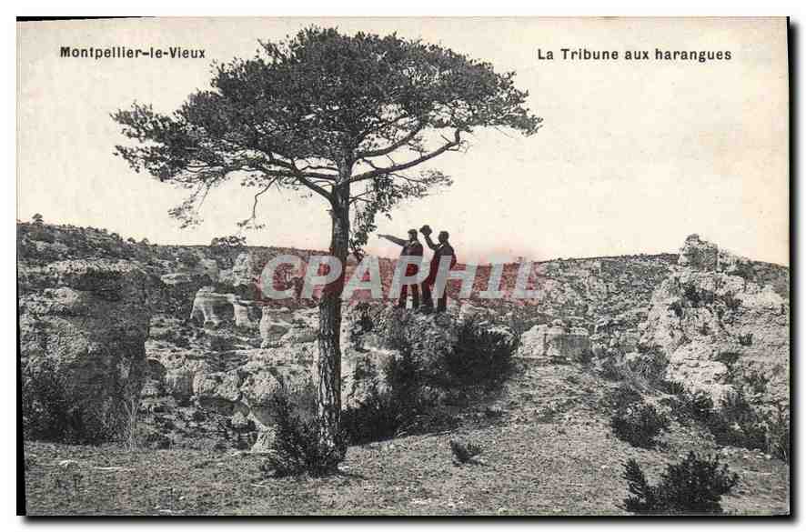 Montpellier-le-Vieux — La Tribune aux harangues — CPAPHIL