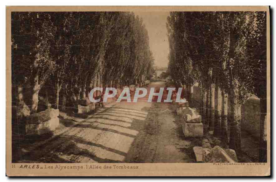 CPA Arles Les Aliscamps l'Allee des Tombeaux
