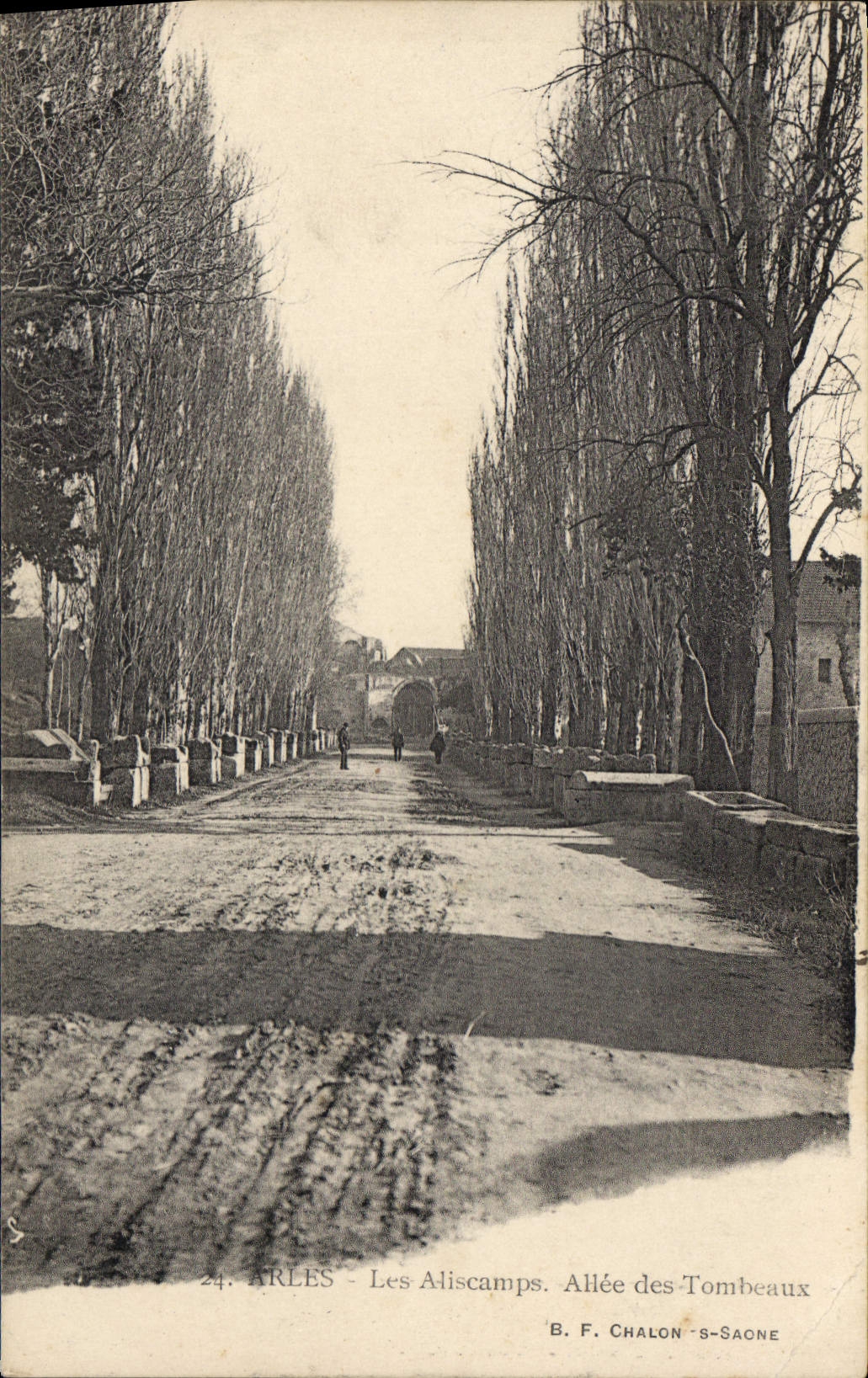 CPA Arles Les Aliscamps Allee des Tombeaux 