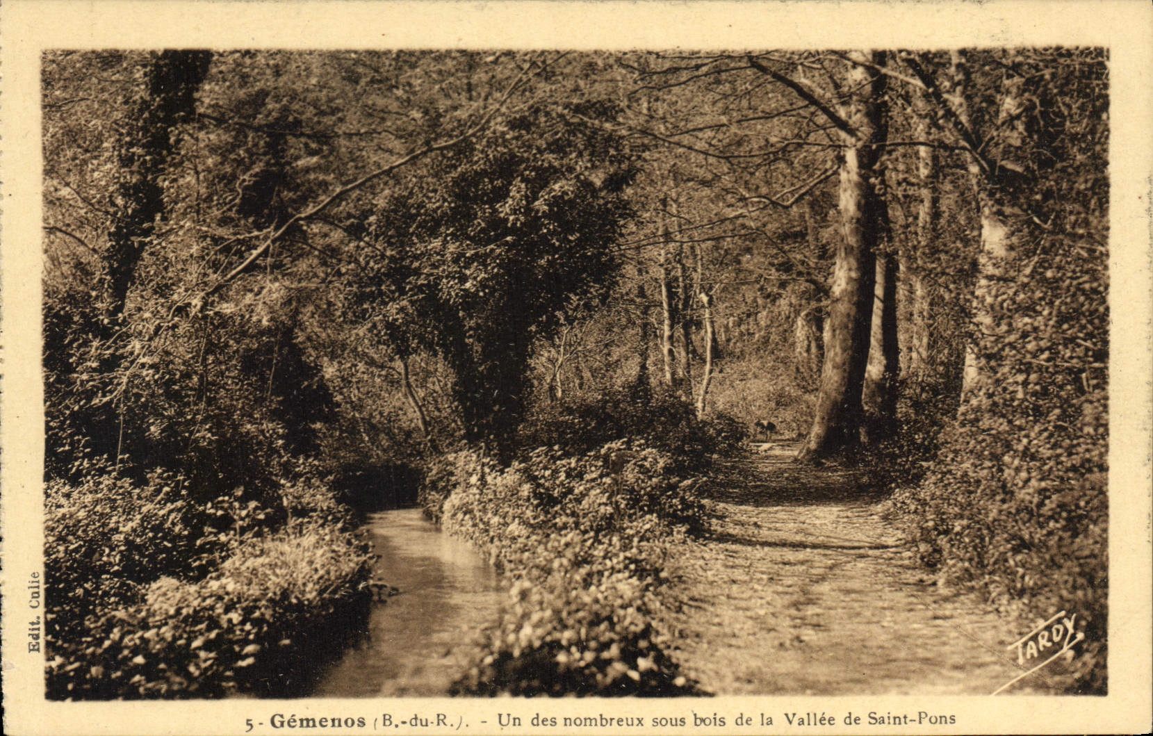 CPA Gemenos B du R un des Nombreux sous bois de la Vallee de Saint Pons 