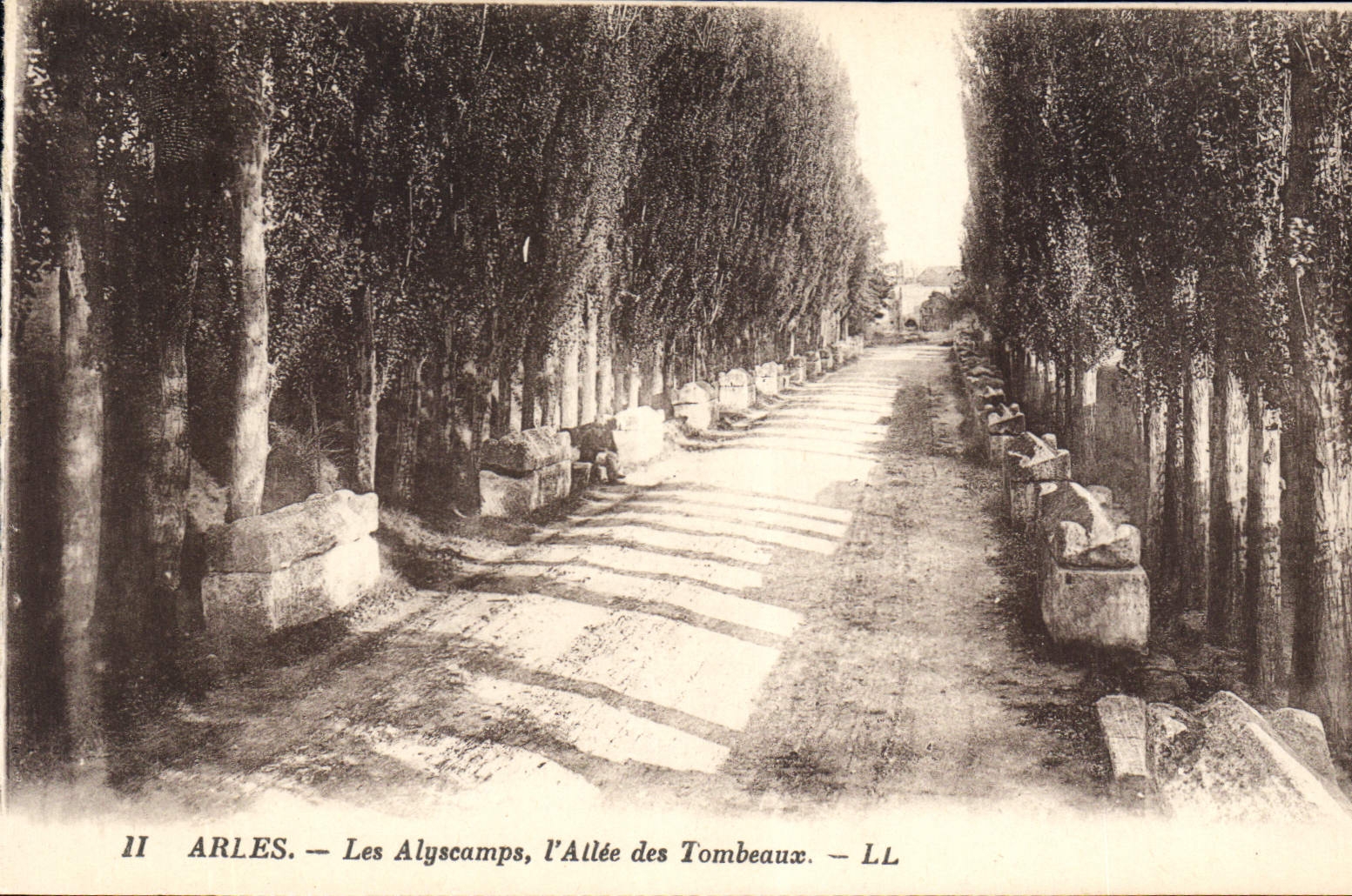 CPA Arles Les Alyscamps l'Allee des Tombeaux 