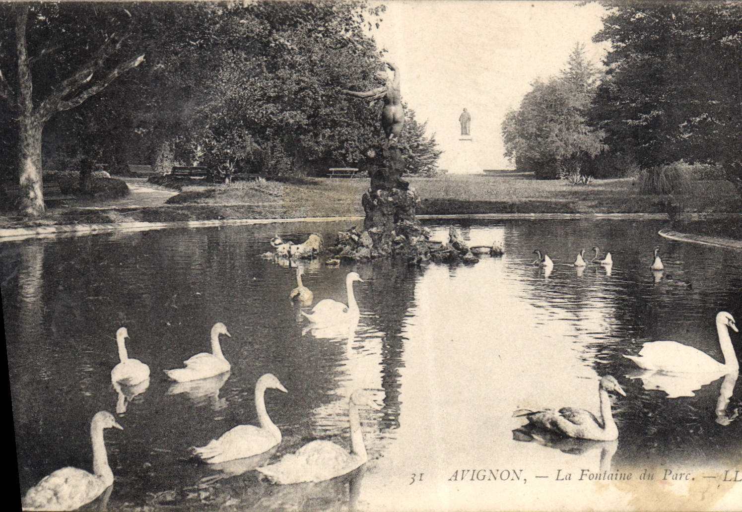 CPA Avignon La Fontaine du Parc Cygnes