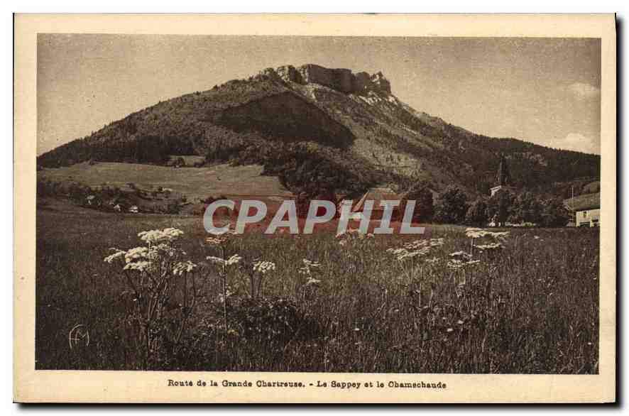 CPA Route de la Grande Chartreuse Le Sappey et le Chamechaude