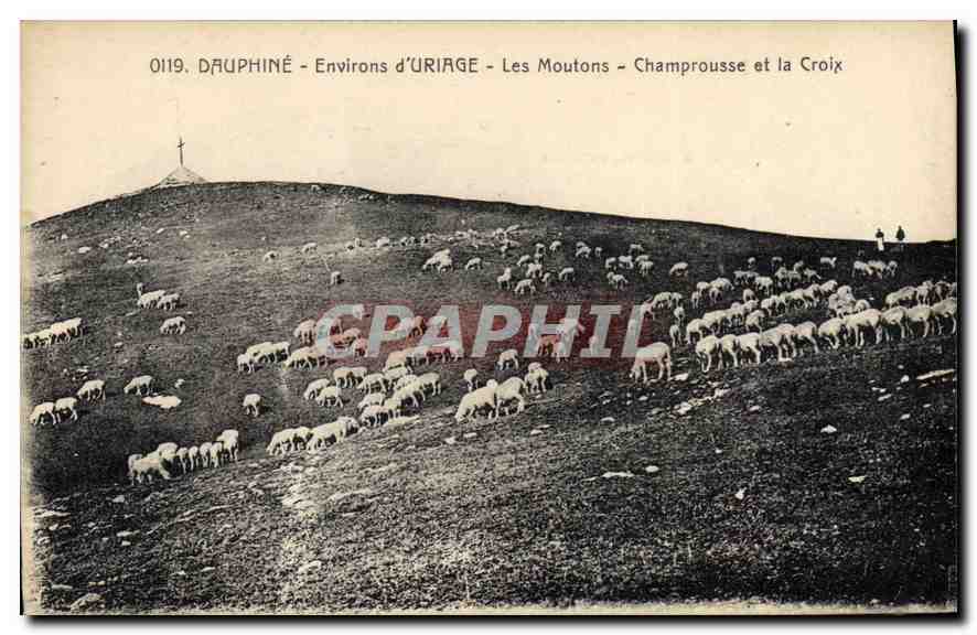Dauphiné - Environs d'Uriage - Les Moutons - Champrousse et la Croix