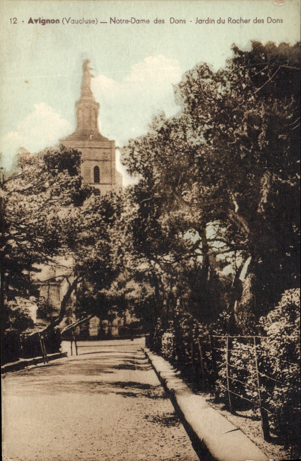 CPA Avignon Notre Dame des Doms Jardin du Rocher des Doms