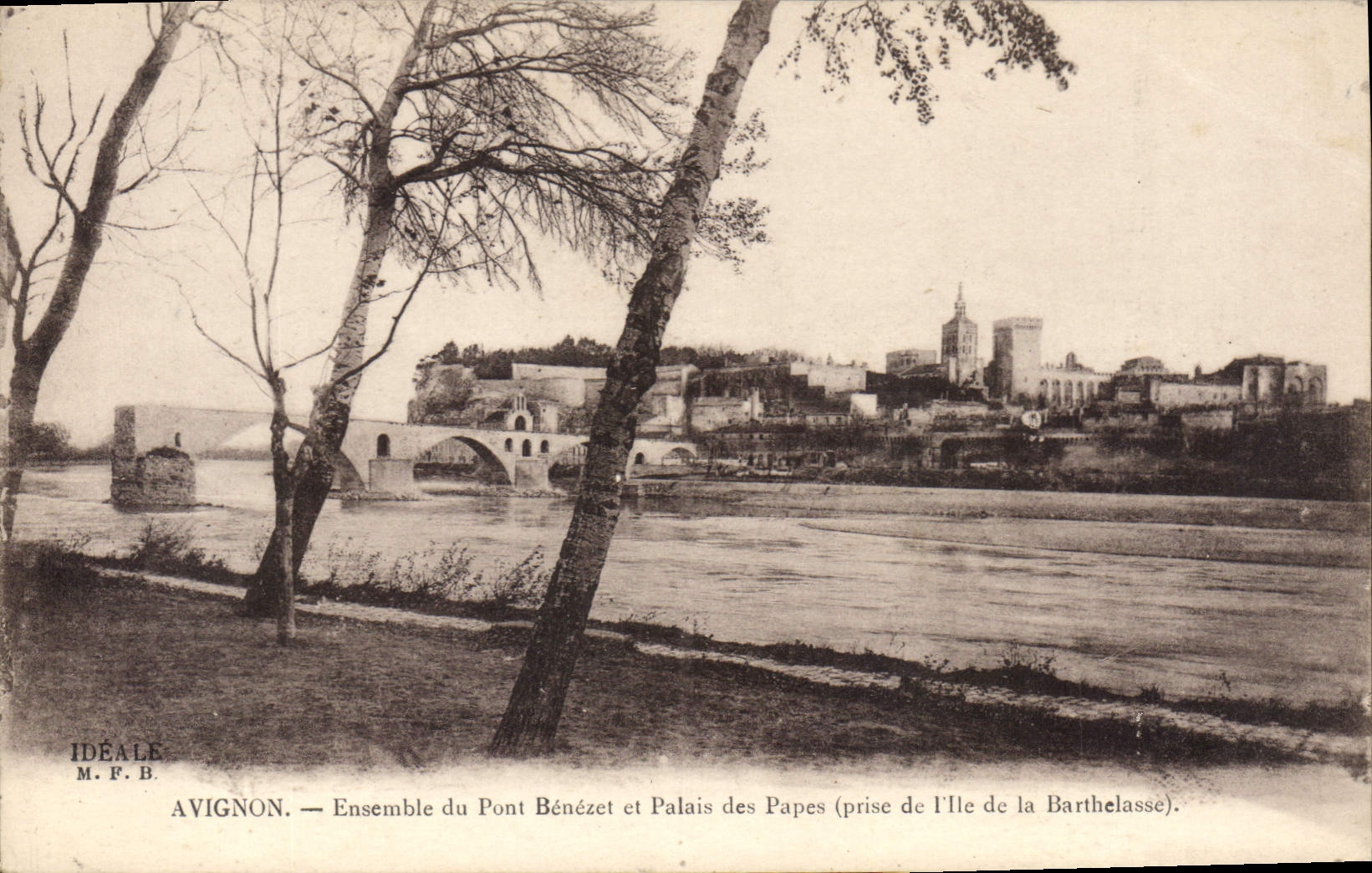 CPA Avignon Ensemble du Pont Benezet et Palais des Papes (prise de l'ile de la Barthelasse)