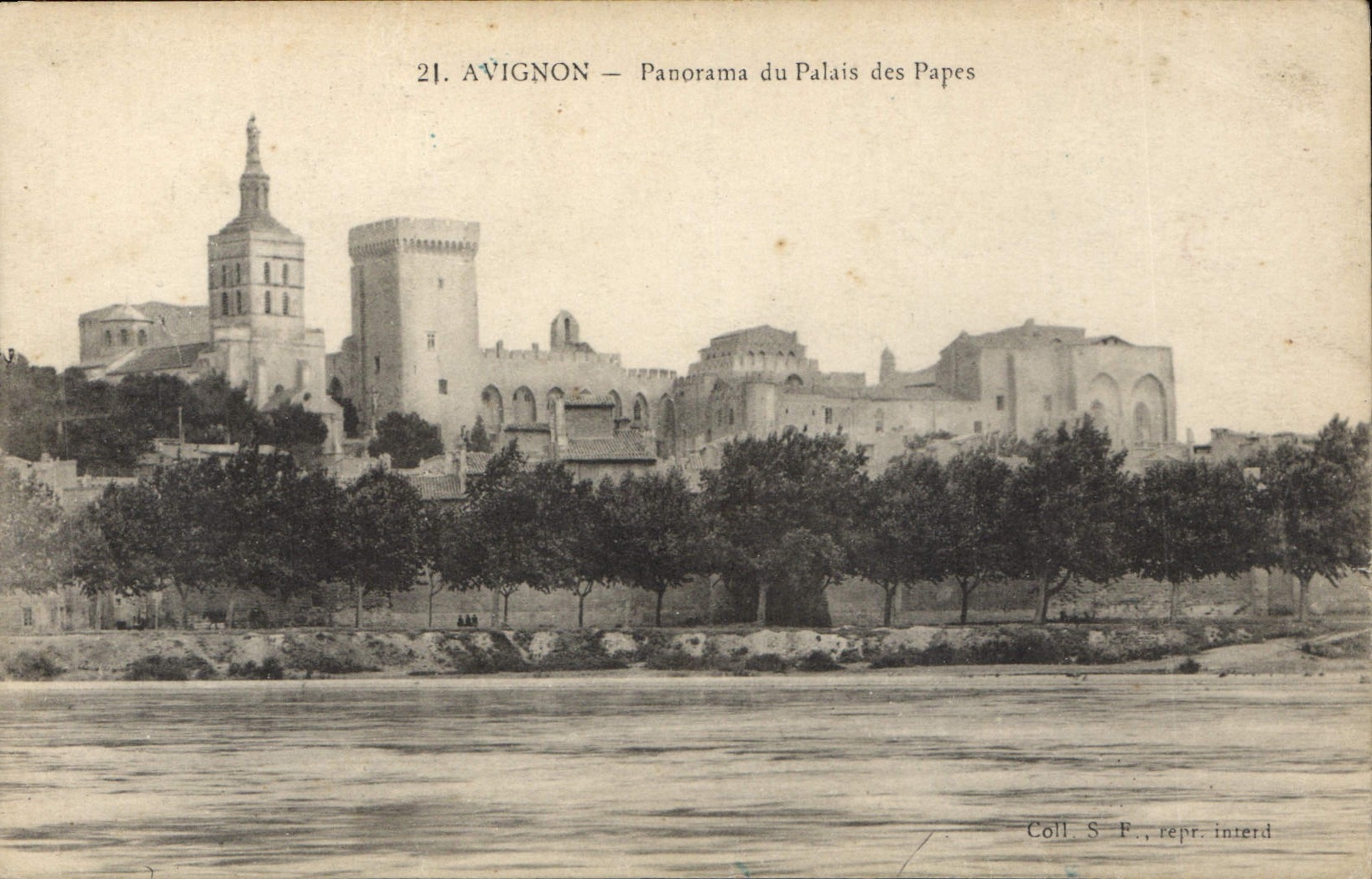 CPA Avignon Panorama du Palais des Papes