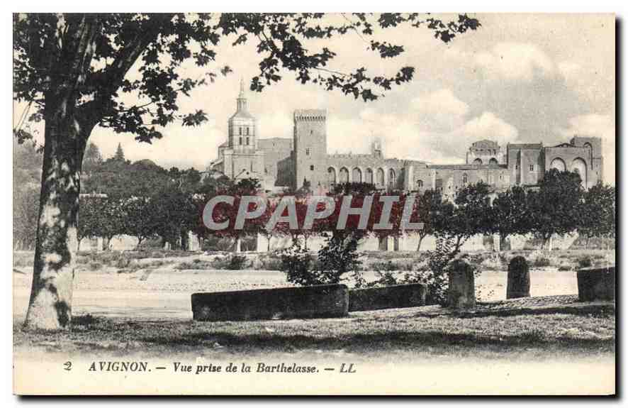 CPA Avignon Vue prise de la Barthelasse