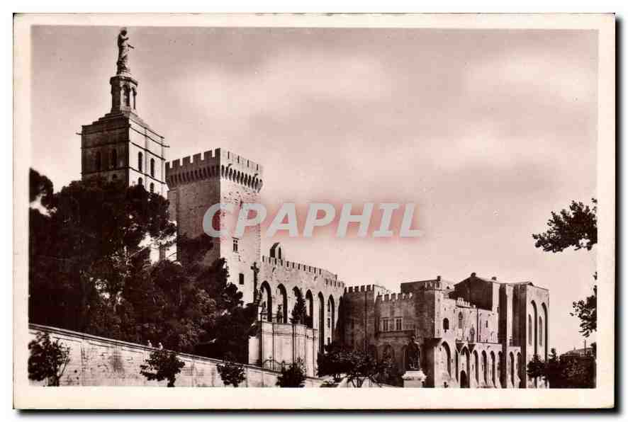 CPA Avignon Le Pont Saint Benezet vu du Rocher des Doms et le Rhone