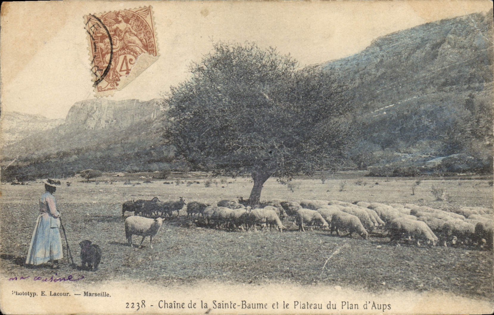 CPA Chaine La Sainte Baume et le Plateau du Plan d'Aups