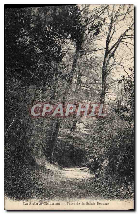 CPA Foret de La Sainte Baume