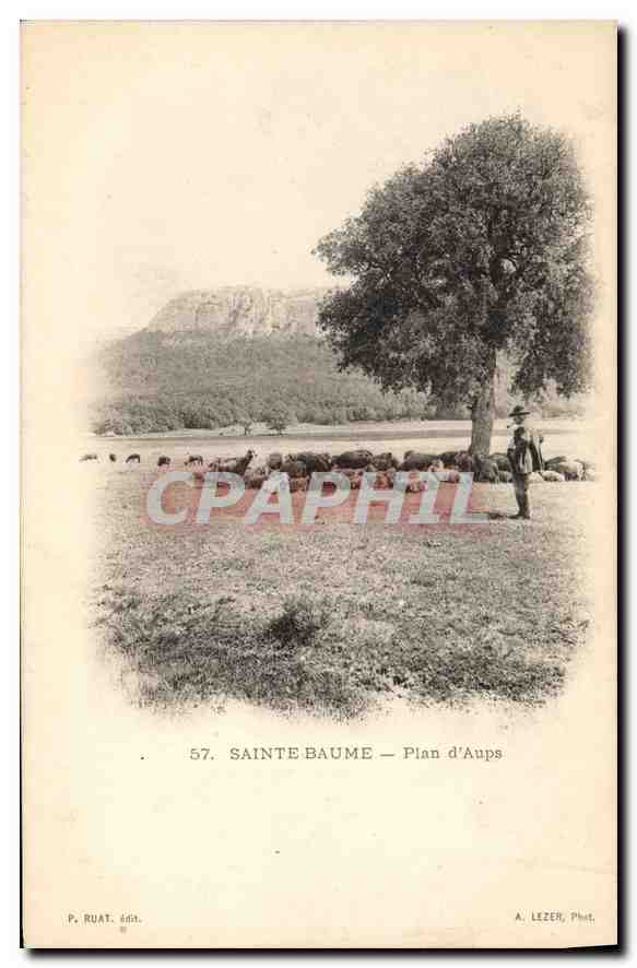 Sainte Baume — Plan d'Aups — P. Ruat, éd. n°57