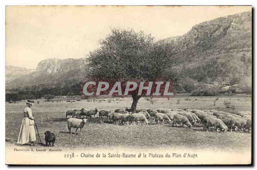 Chaine de la Sainte-Baume & le Plateau du Plan d'Aups — Phototypie E. Lacour - Marseille, n°2238