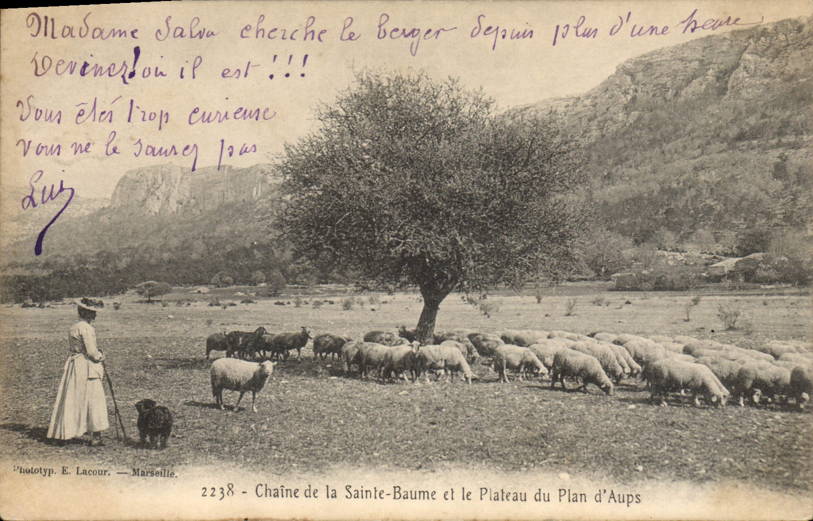Châine de la Sainte-Baume et le Plateau du Plan d'Aups — Phototyp. E. Lacour — n° 2238