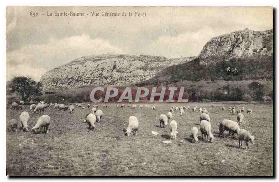CPA La Sainte Baume Vue generale de la Foret