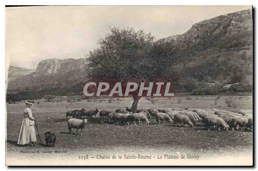 Chaîne de la Sainte-Baume - Le Plateau de Giniez — Phototype R. Lacour-Marnieu, n° 2238