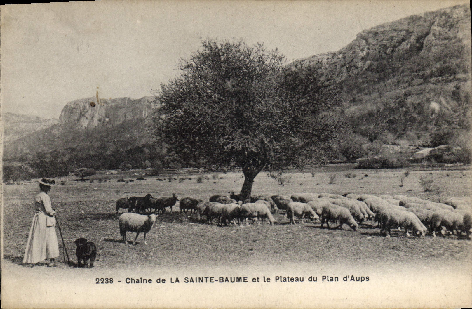 Chaine de LA SAINTE-BAUME et le Plateau du Plan d'Aups — 2238 — éditeur non visible