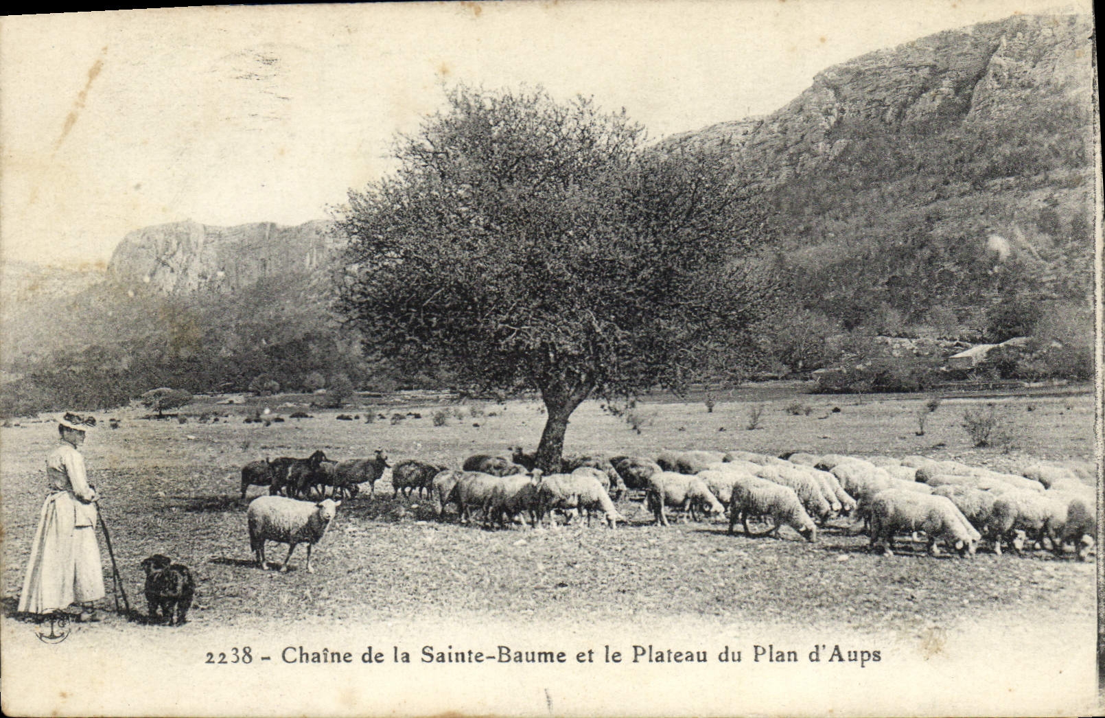 Chaine de la Sainte-Baume et le Plateau du Plan d'Aups — 2238 — éditeur non identifié