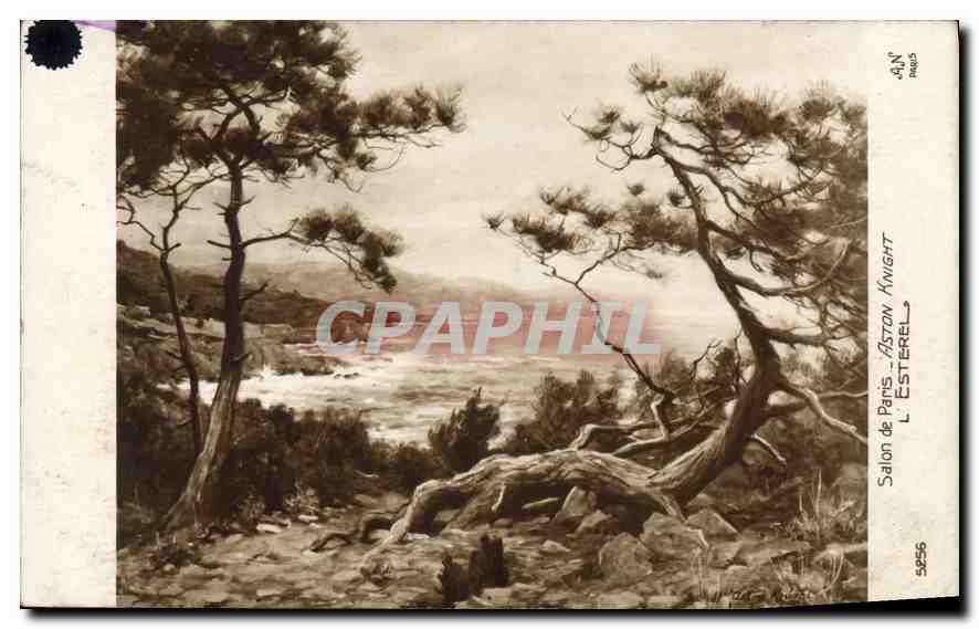 Paysage côtier avec pins — Salon de Paris — Aston Knight — n° 5956