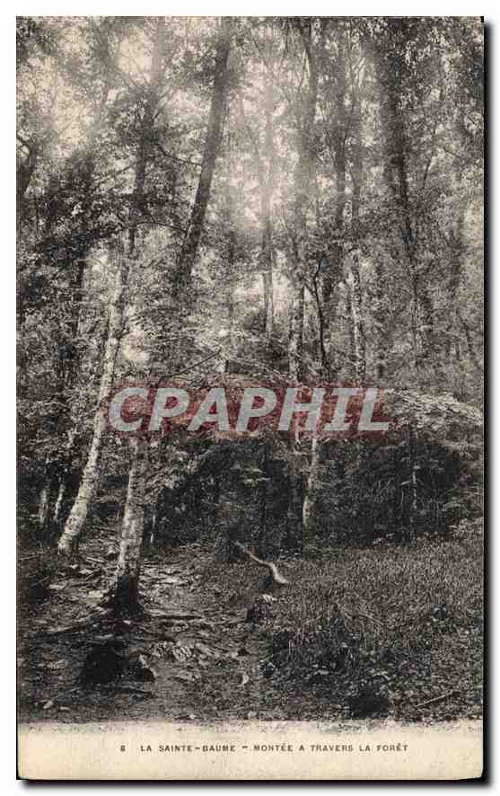 CPA La Sainte Baume Montee a travers la Foret
