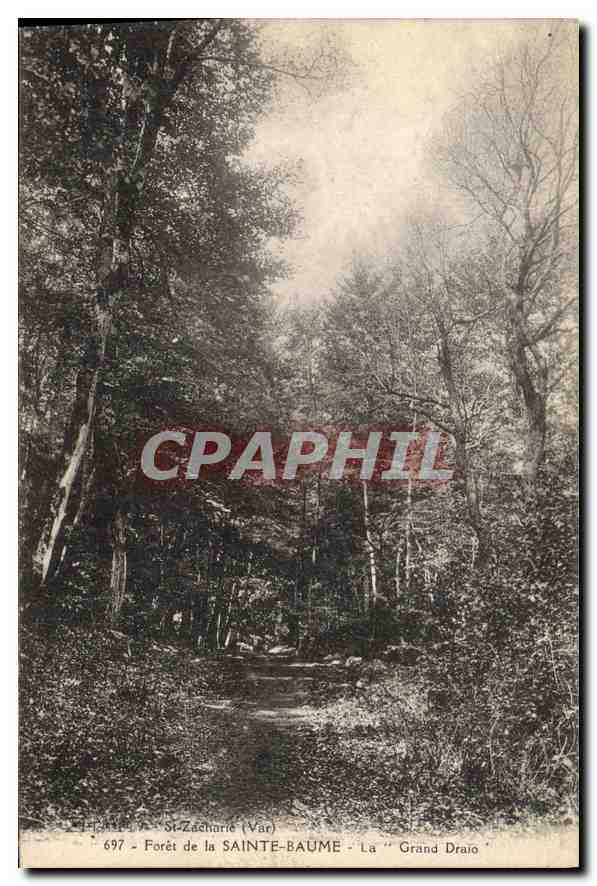 CPA Foret de La Sainte Baume La Grand Draio
