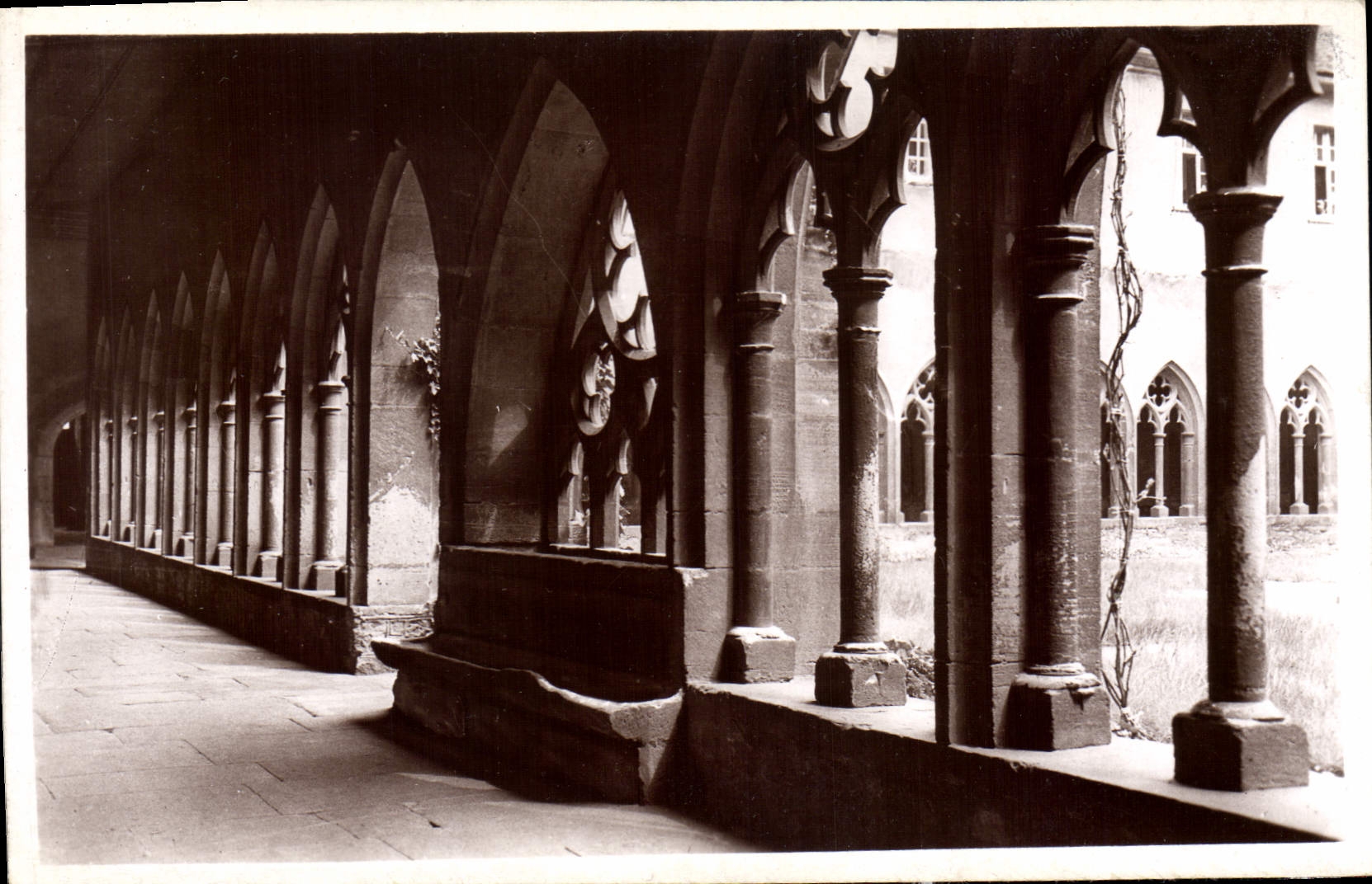 CPA Le Vieux Colmar Le Cloitre des Unterlinden (Musee)