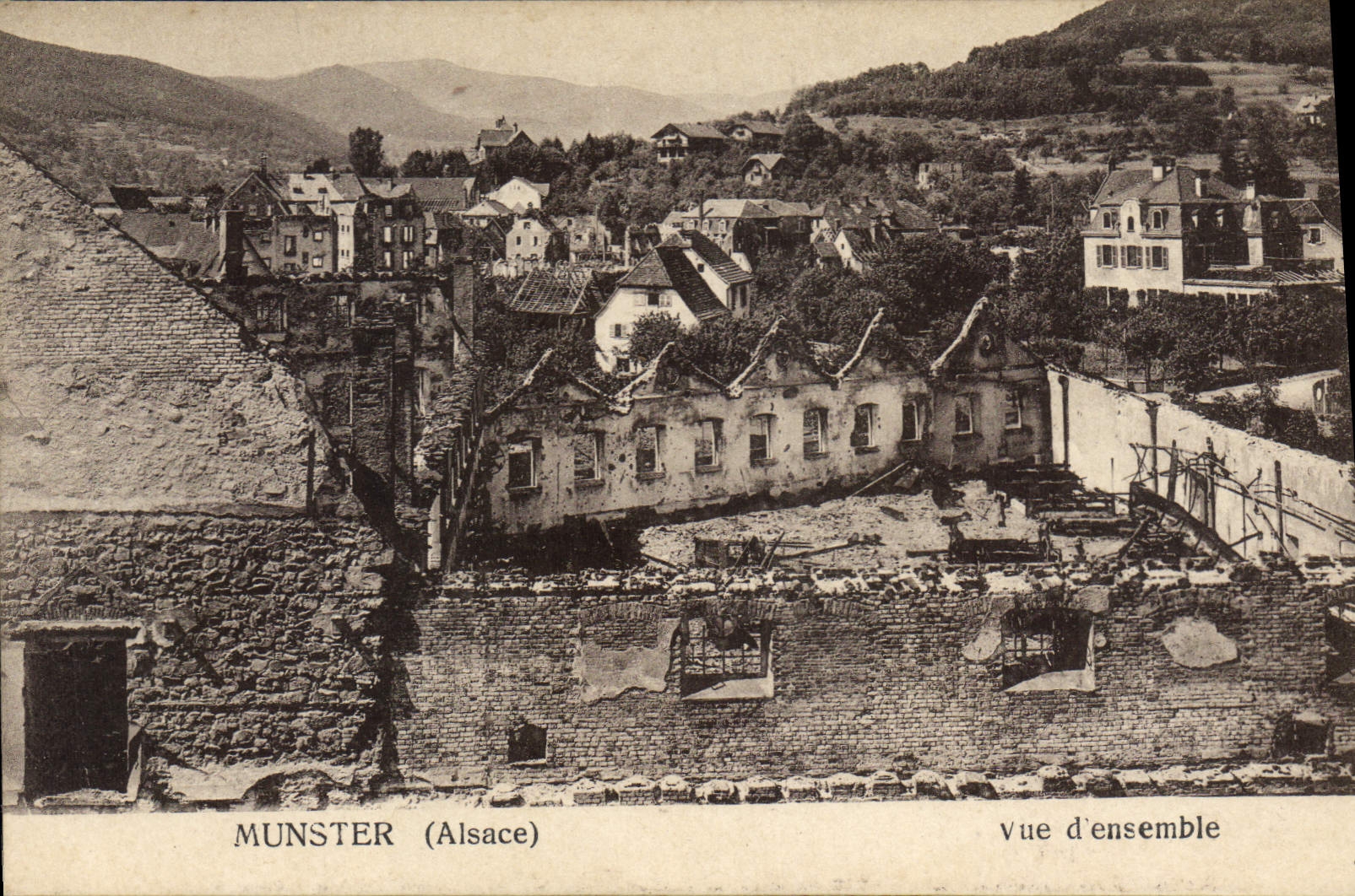 Munster (Alsace) — vue d'ensemble — H. Gachot, Strasbourg, n° 19