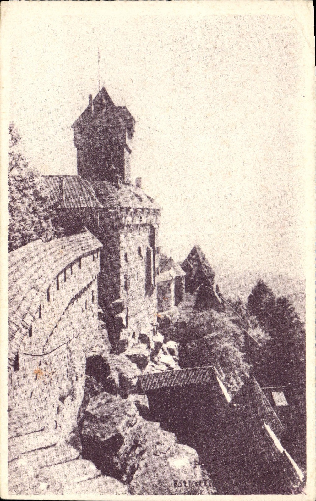 CPA Haut Koenigsbourg Service automobile de la Route des Vosges 