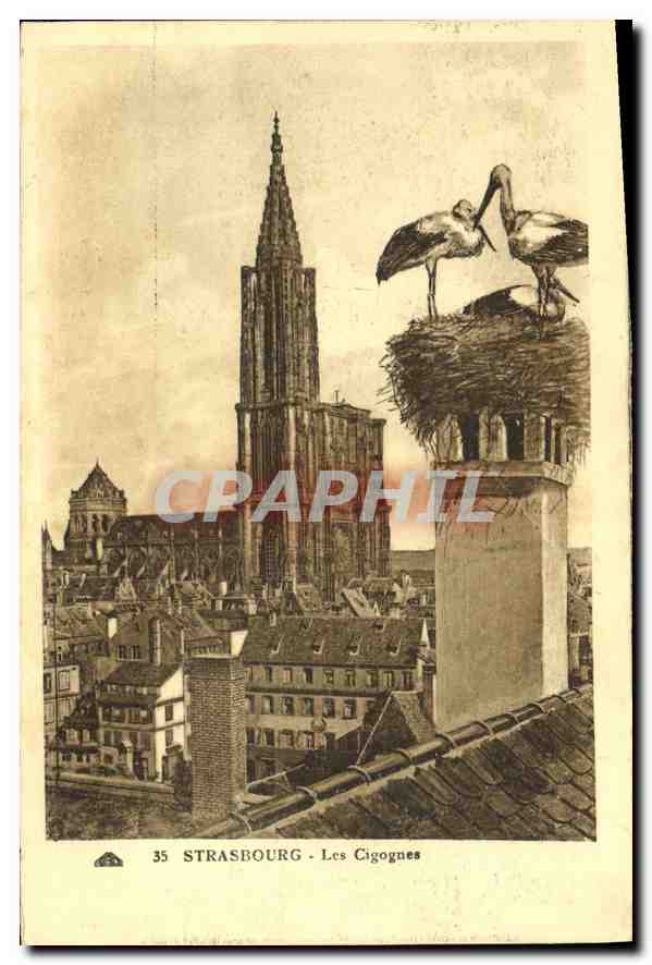 CPA Strasbourg Les Cigognes 