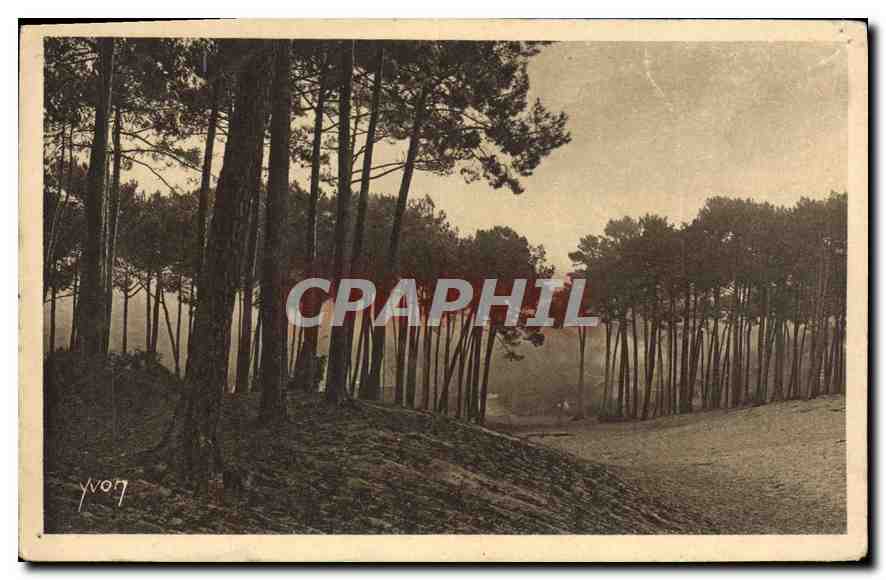 CPA Arcachon Les grandes Dunes de la Ville d'Hiver