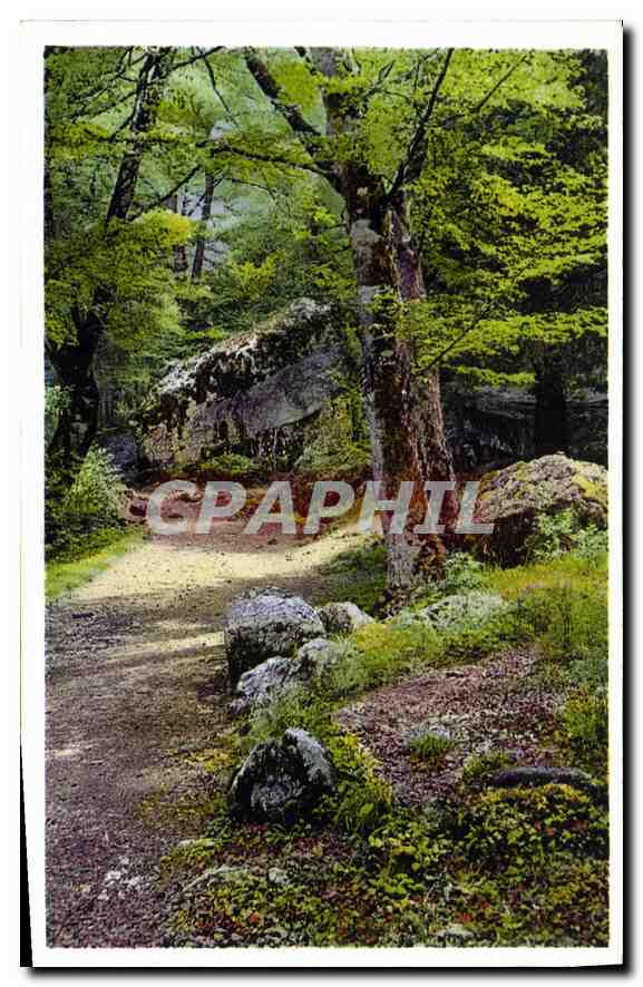 CPA Hotellerie de la Sainte Baume St Zacharie (Var)