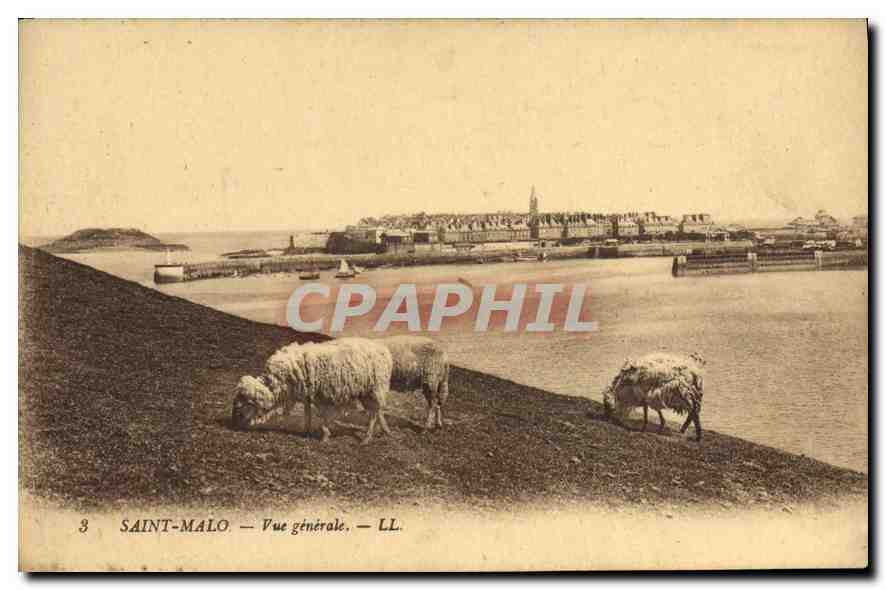 CPA Saint Malo Vue generale Moutons