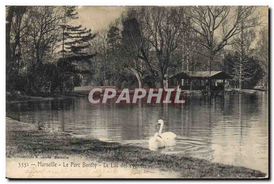 CPA Marseille Le Parc Borely Le Lac des cygnes