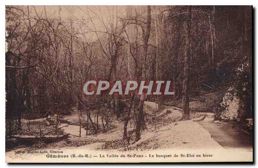 CPA Gemenos B du R La Vallee de St Pons Le bosquet de St Eloi en hiver 