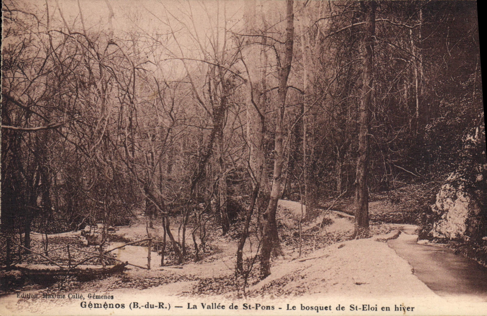 CPA Gemenos B du R La Vallee de St Pons Le bosquet de St Eloi en hiver 