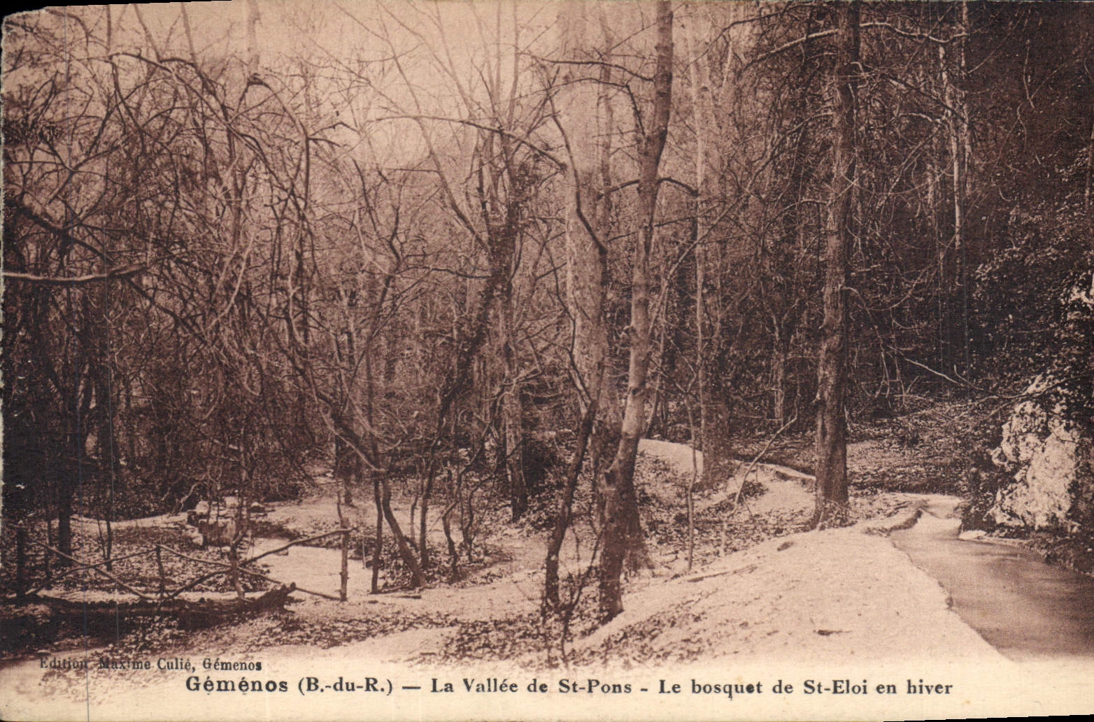 CPA Gemenos B du R La Vallee de St Pons Le bosquet de St Eloi en hiver 