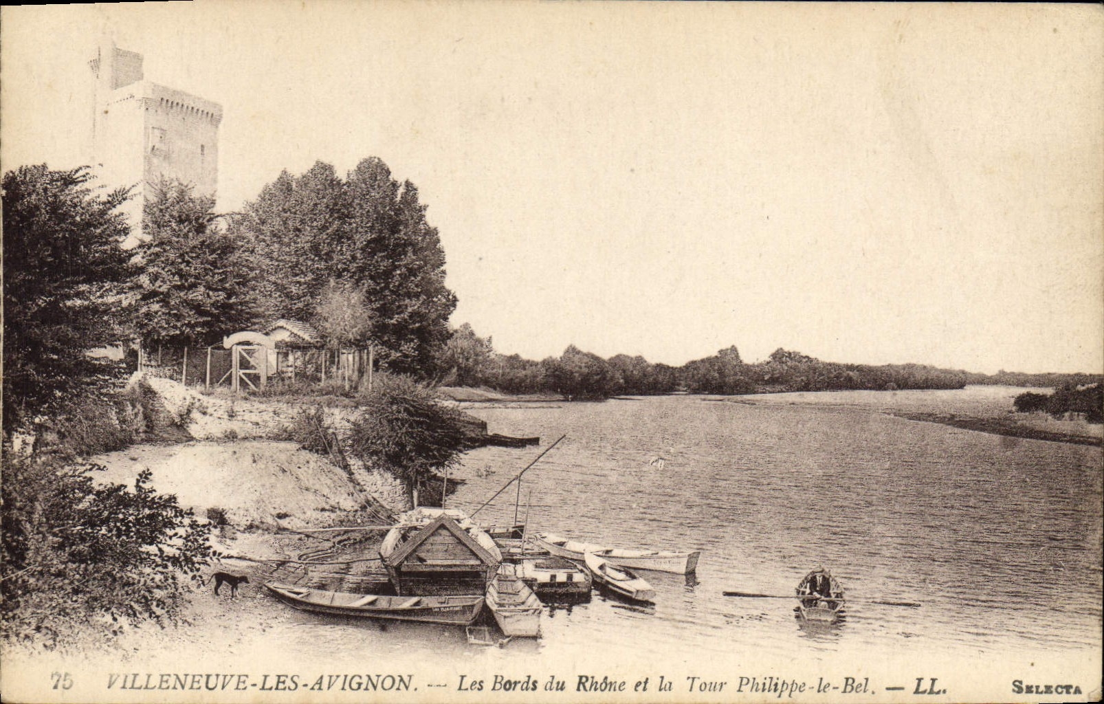 CPA Villeneuve les Avignon Le Bords du Rhone et la Tour Philippe le Bel 