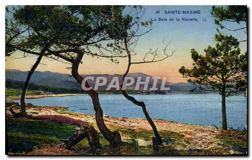 CPA Sainte Maxime La Baie de la Nartelle 