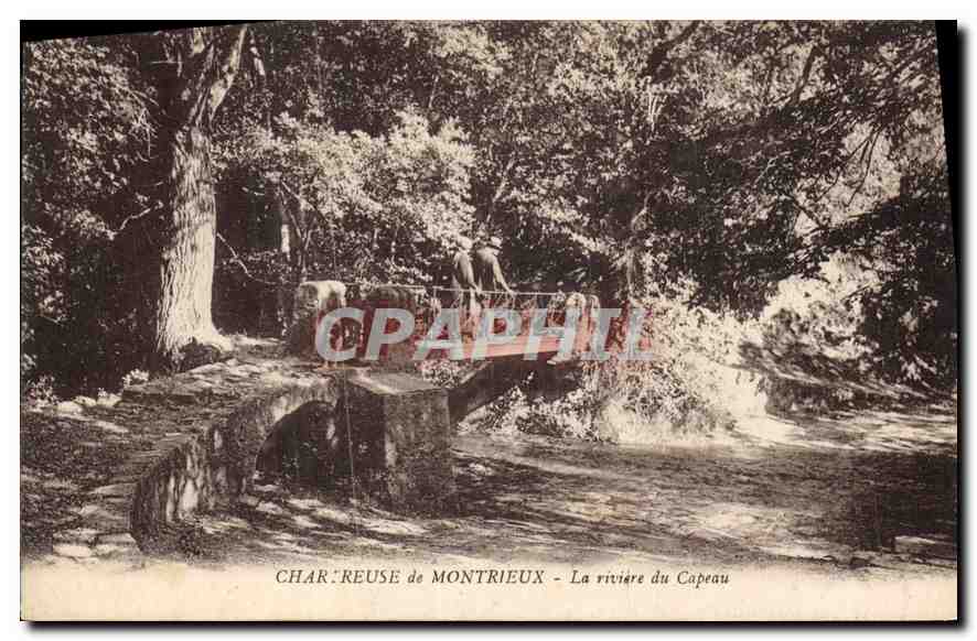 CPA Chartreuse de Montrieux La riviere du Capeau 
