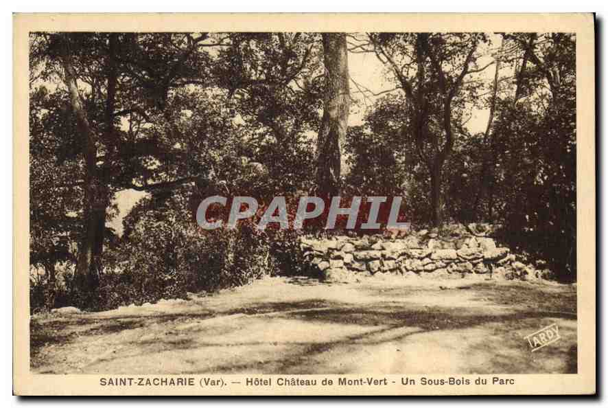 CPA Saint Zacharie Var Hotel Chateau de Mont Vert Un Sous Bois du Parc 