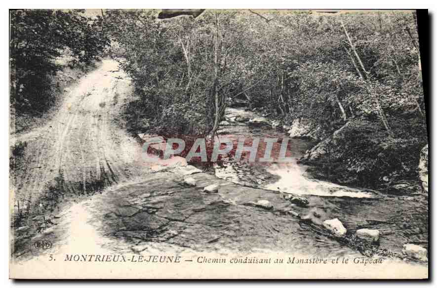 Montrieux-le-Jeune — Chemin conduisant au Monastère et le Gapeau — n°5