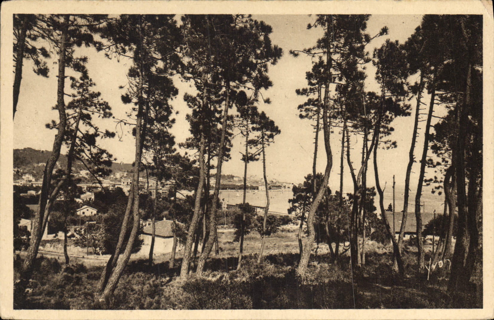 CPA Cote d'Azur Sainte Maxime sur Mer Var La Pinede 