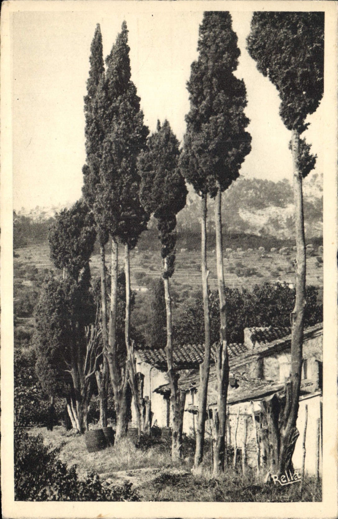 CPA Paysage provencal 