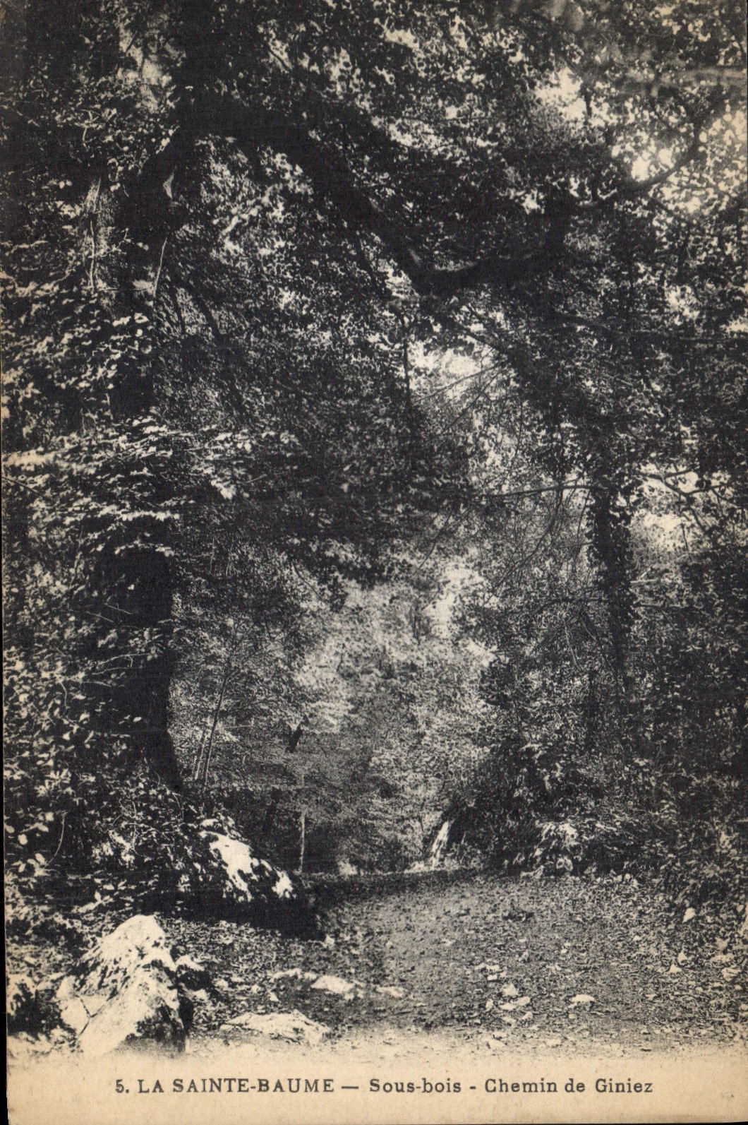 CPA La Sainte Baume Sous bois Chemin de Giniez 