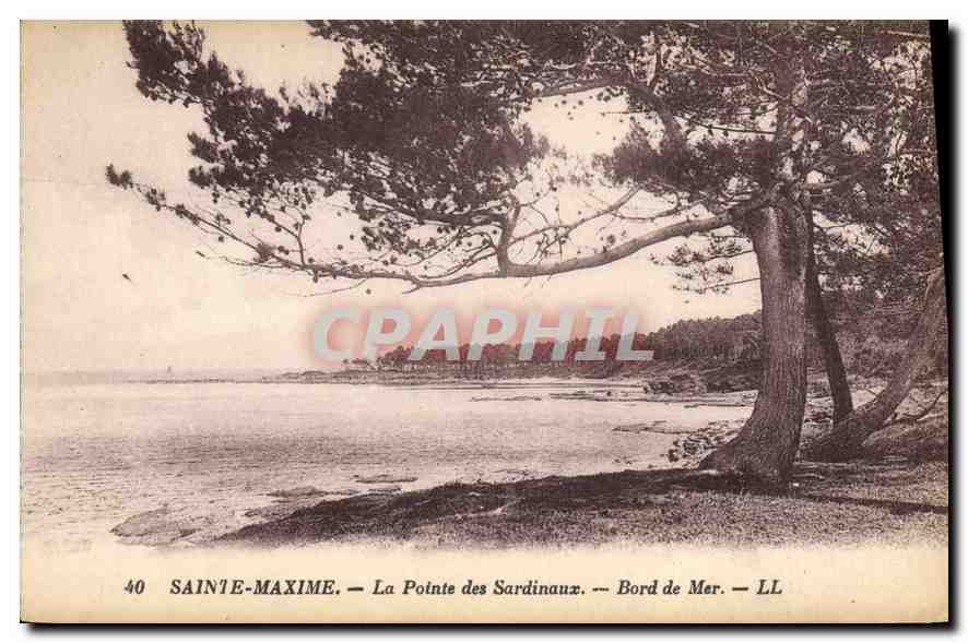 CPA Sainte Maxime La Pointe des Sardinaux Bord de Mer 