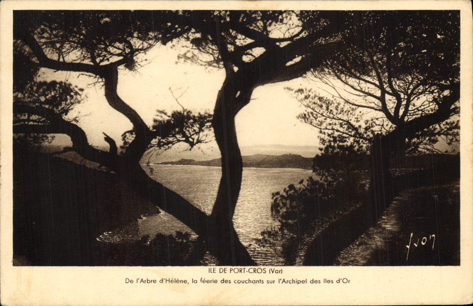CPA Ile de Port Cros Var De l'Arbre d'Holene la feerie des couchants sur l'Archipel des Iles d'Or 