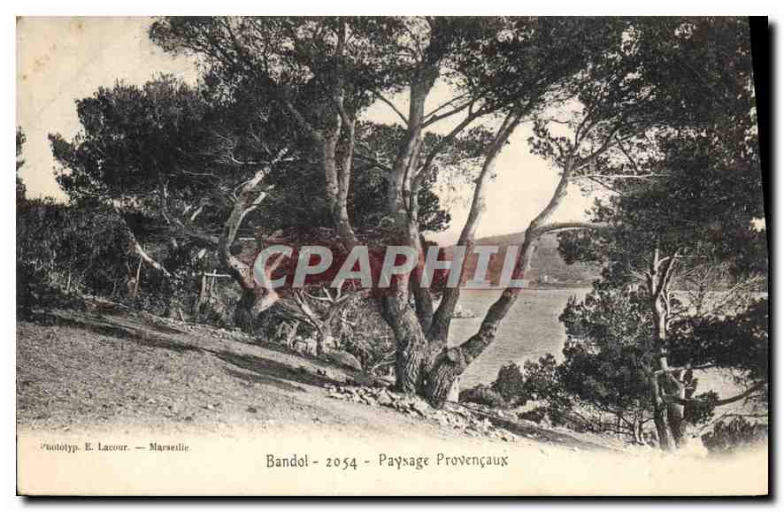 CPA Bandol Paysage Provencaux 