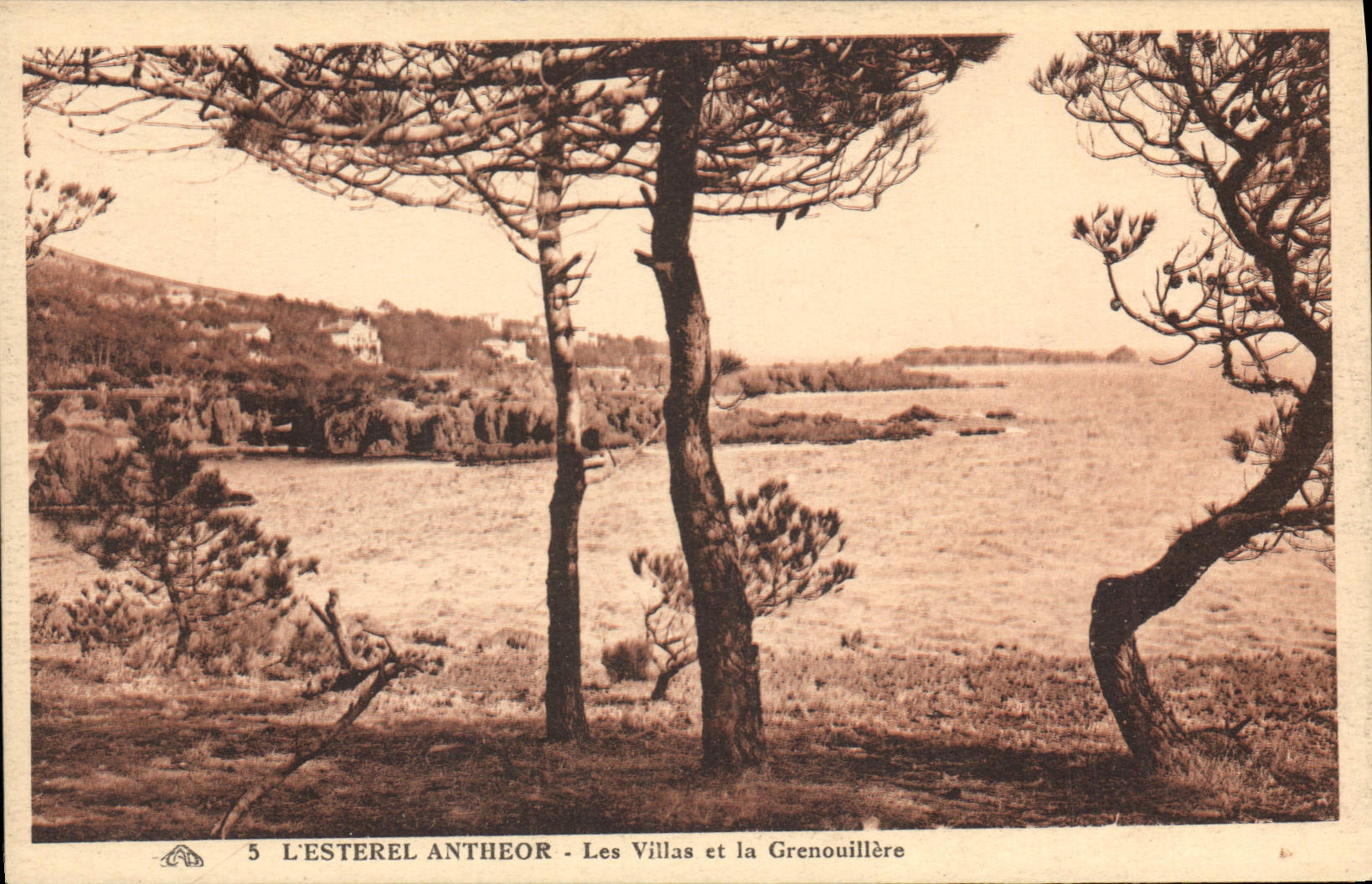 CPA L'Esterel Antheor Les Villas et la Grenouillere 