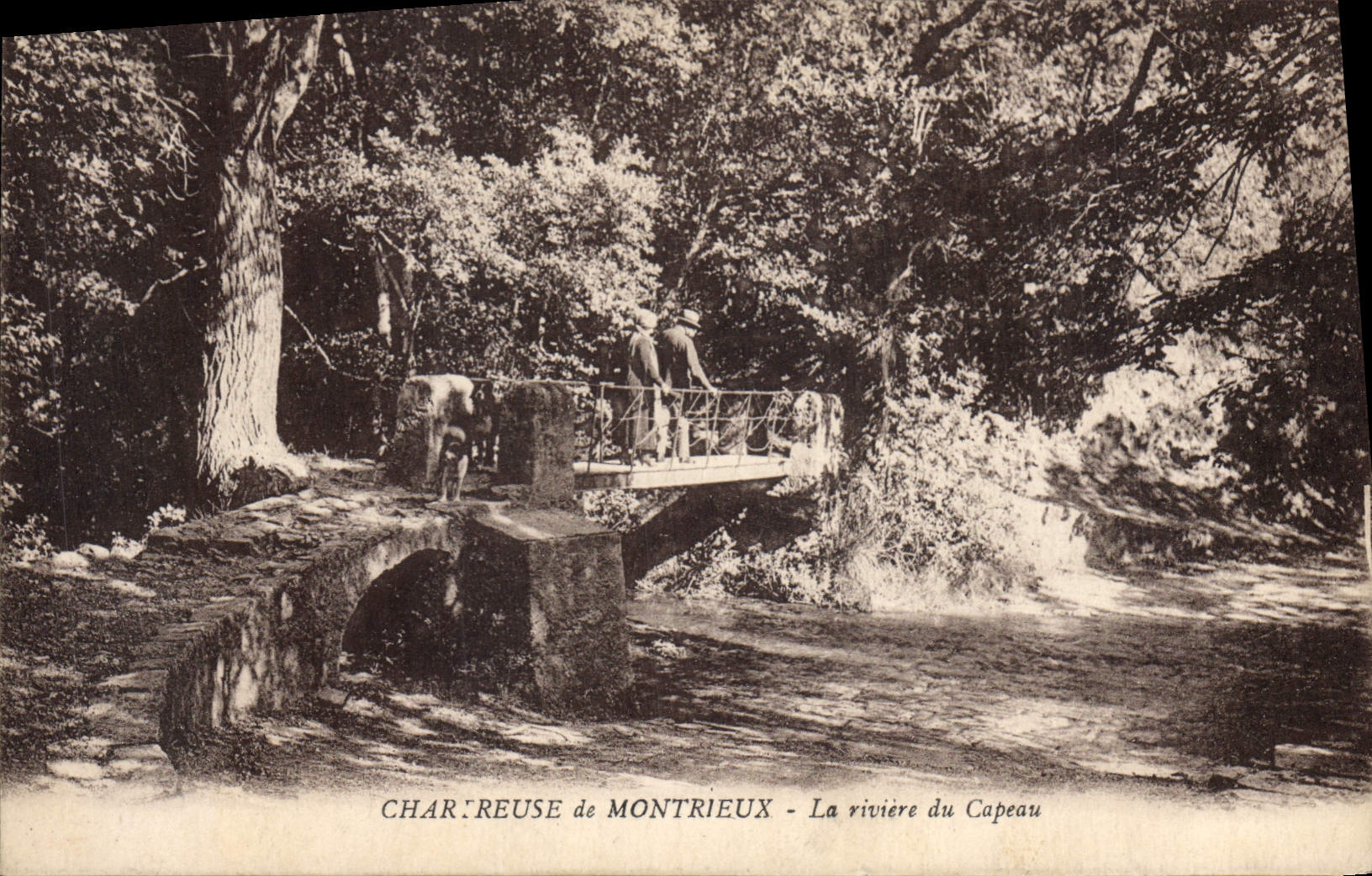 Chartruse de Montrieux — La rivière du Capeau — éditeur non identifié