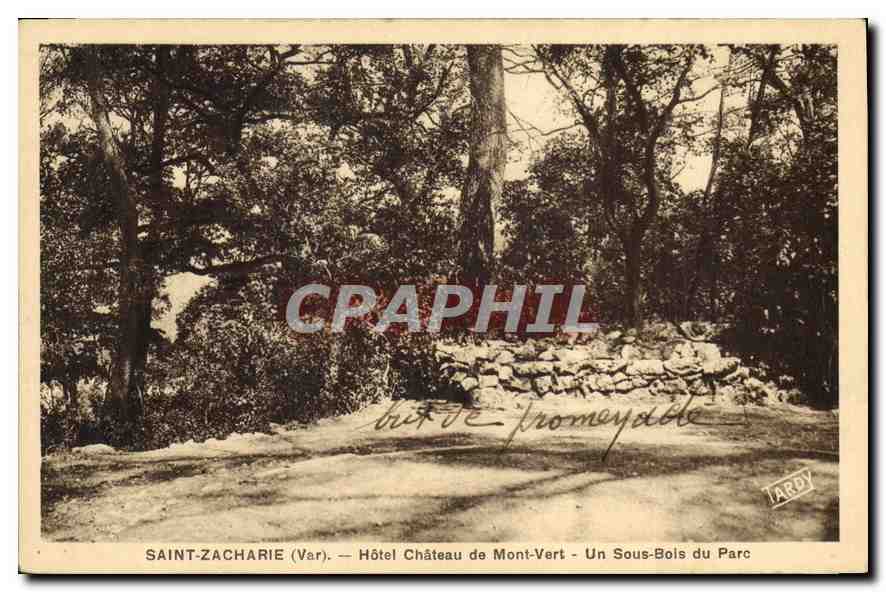 CPA Saint Zacharie Var Hotel Chateau de Mont Vert Un Sous Bois du Parc 